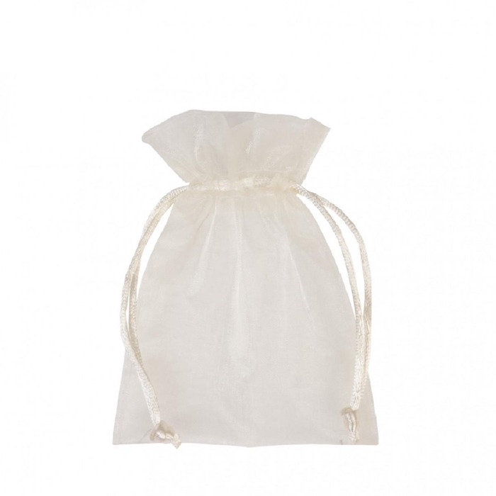 <h4>Wedding Bag Organza d09*12cm</h4>