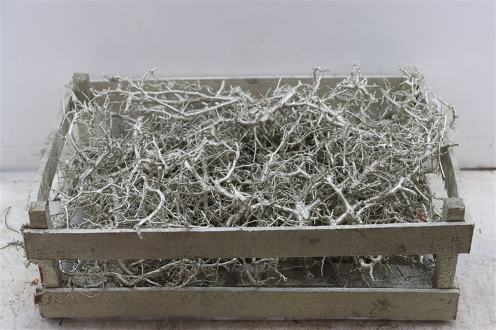 <h4>Bonsai Wood Platina P Crate</h4>