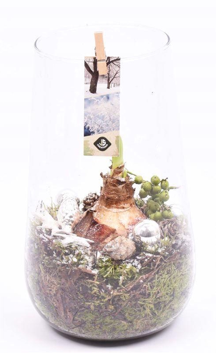 <h4>Glas cilinder 14x16cm</h4>