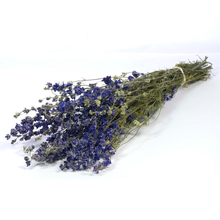 <h4>Delphinium Natural Blue</h4>