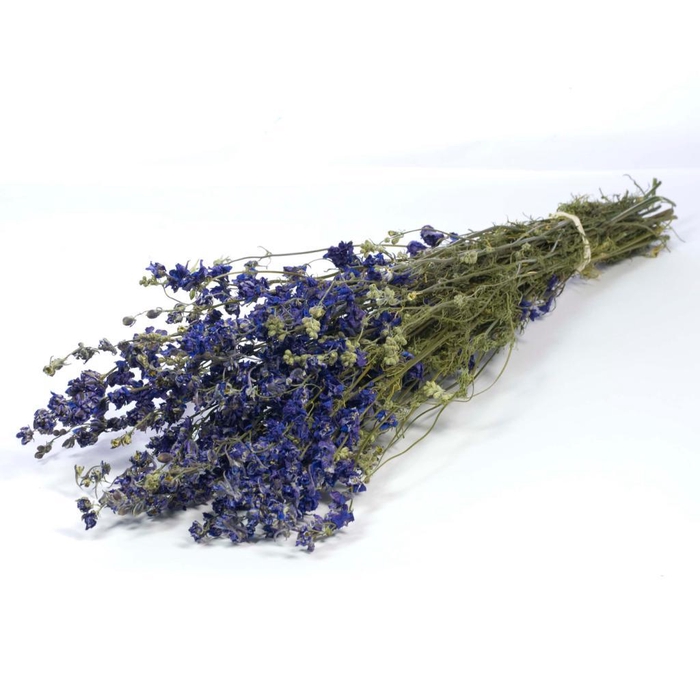 <h4>Delphinium Natural Blue</h4>