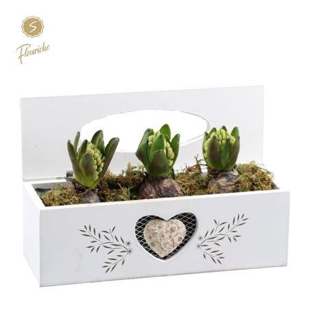 <h4>Hyacinth mix 3802 tissue bak 3pp</h4>