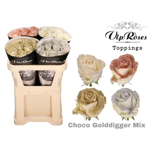 R GR CHOCO GOLDDIGGER MIX