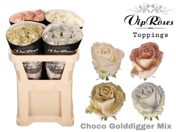R GR CHOCO GOLDDIGGER MIX