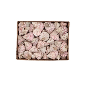 Shells Barnacle Mini P/380 Gram