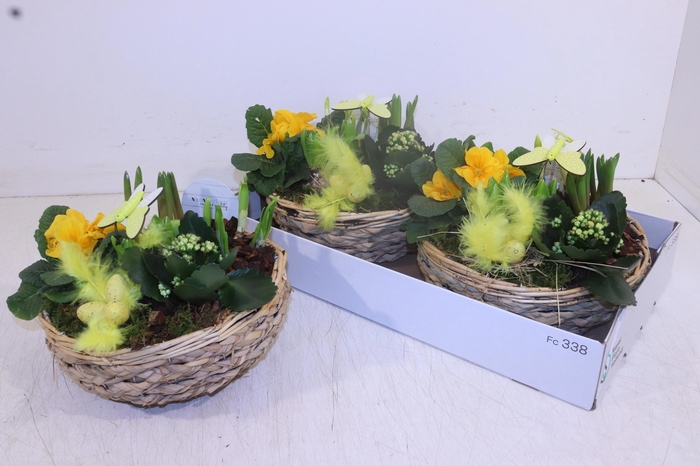 <h4>ARR PL IN SCHAAL</h4>