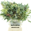 Euca Populus Berries Long 300gr