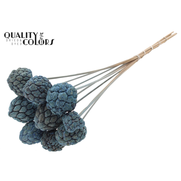 <h4>Atta Fruit on stem Bleached Frosted Light Blue</h4>