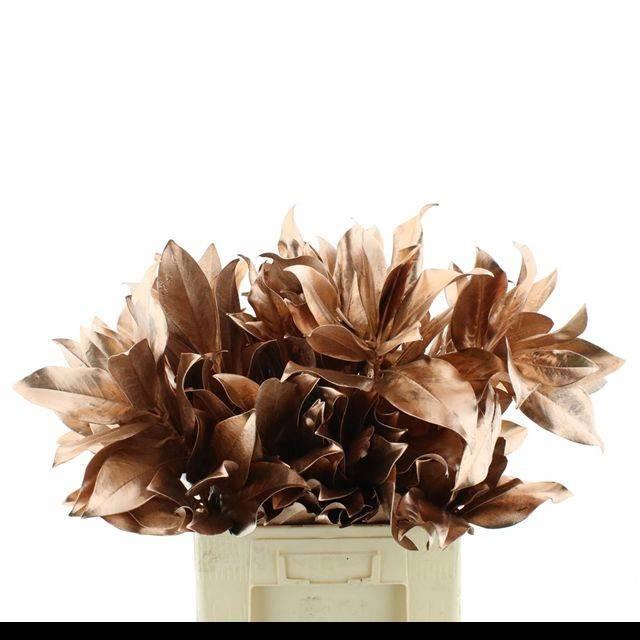 <h4>DECORGROEN KLB BS H%</h4>