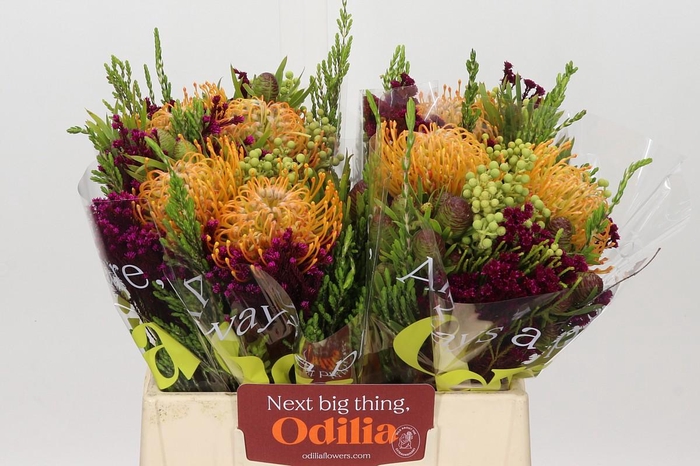 <h4>BQ Nutans Soleil 2 Flower</h4>