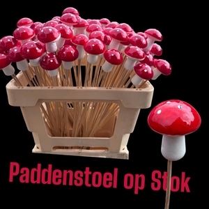 HUIS EN TUINDECO H%
