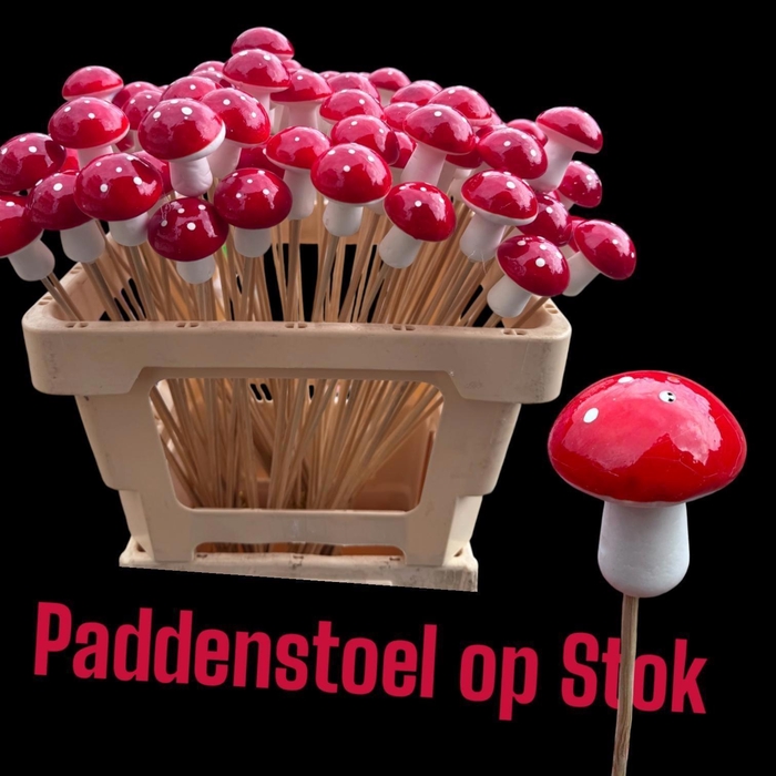 <h4>HUIS EN TUINDECO H%</h4>