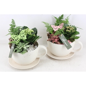 arr2 MB - Kop en schotel - roze/wit