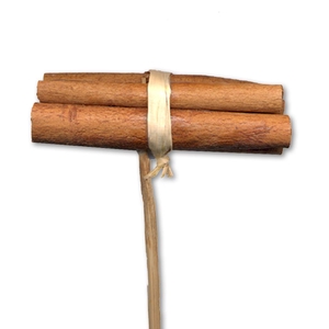 Cinnamon 8cm Posy O/s Natural