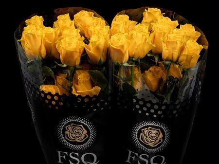 <h4>R Gr Impact</h4>