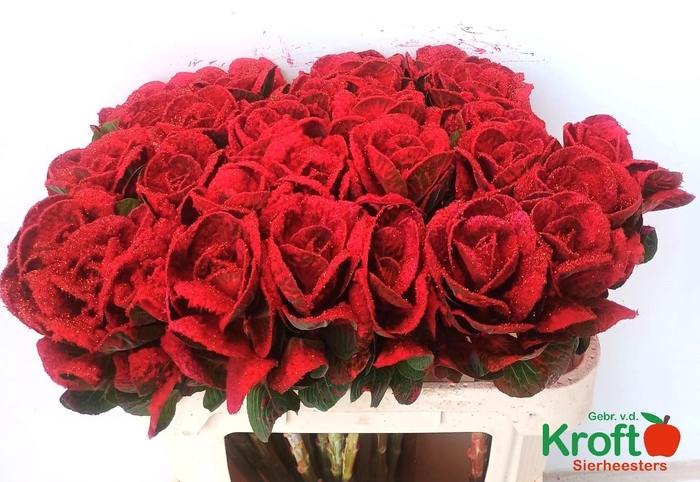 <h4>BRASS KLB H%</h4>