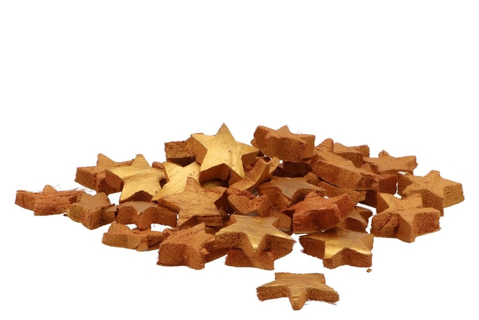 <h4>Nature Coconut Star Gold P/100 5cm</h4>