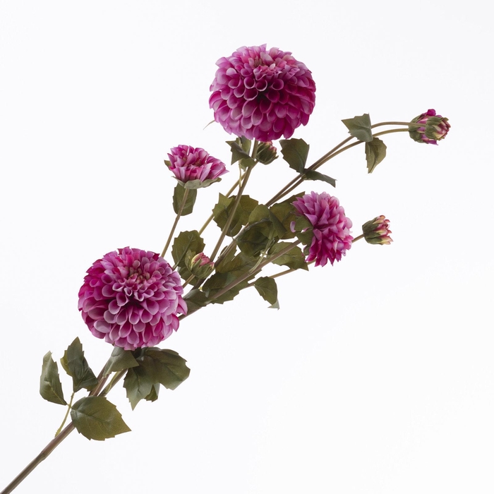 Dahlia Spray Beauty FL440362BEA