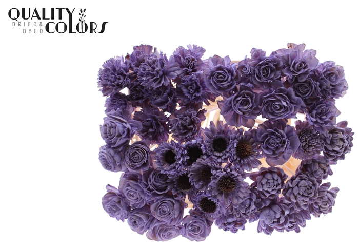 Shola Flower Mix on stem Milka