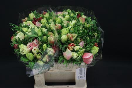 <h4>Anem Zwaar Bicolor</h4>