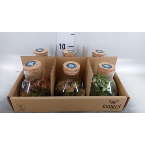 Arr.   Planten L%