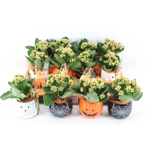 arr2 JS - Ker. halloween mix x12 kal.
