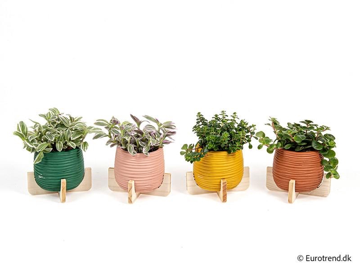 <h4>E 4209 rillet skj mix farver</h4>