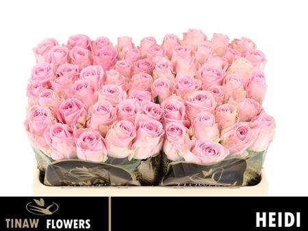 <h4>R Gr Heidi!</h4>