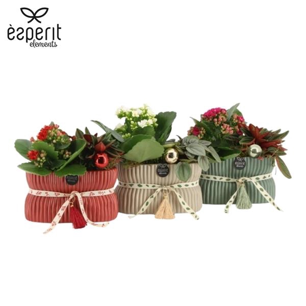 <h4>Arrangementen Kerst 6%</h4>