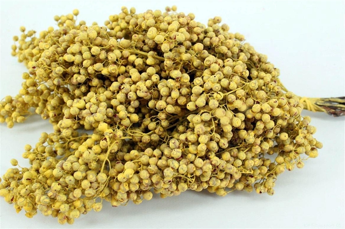 <h4>Schinus M Pt Yellow Bunch</h4>