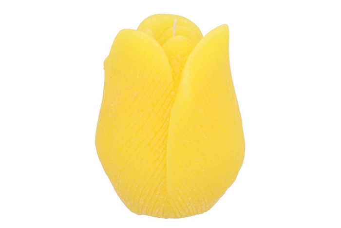 <h4>Candle Tulip Yellow 10x13cm Nm</h4>