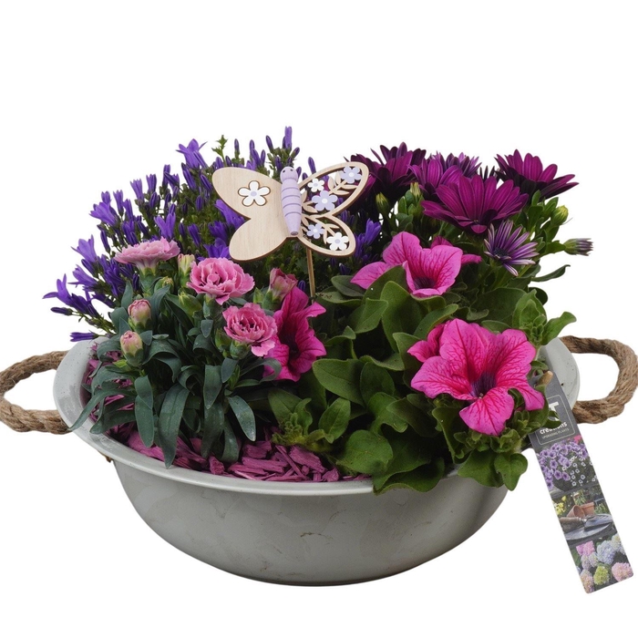 <h4>Arr.   Perkplanten H%</h4>