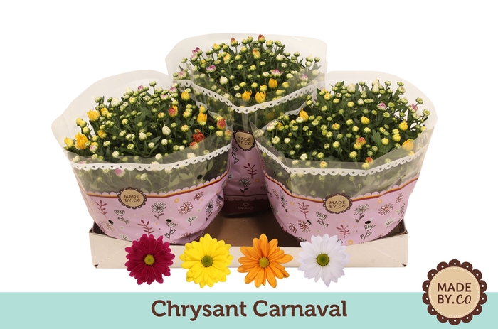 <h4>Chrys Gemengd Carnaval</h4>