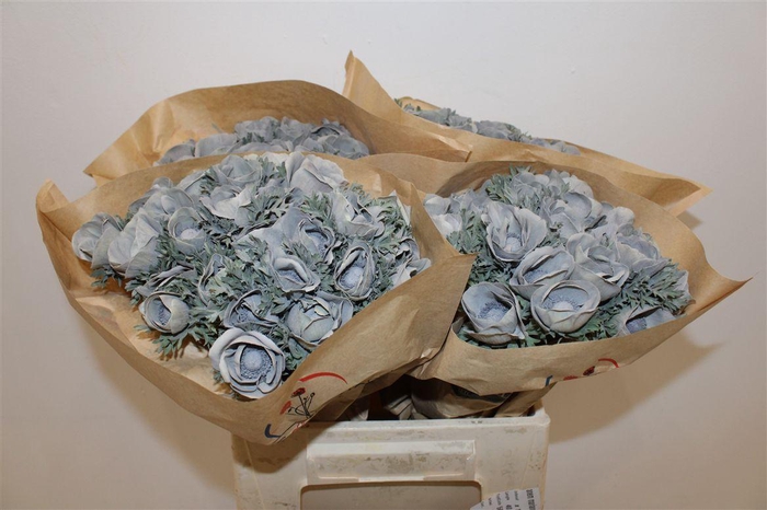 <h4>Anem Marianne Powder Grey</h4>