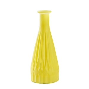 Glas Fles Patty d03/8*21cm