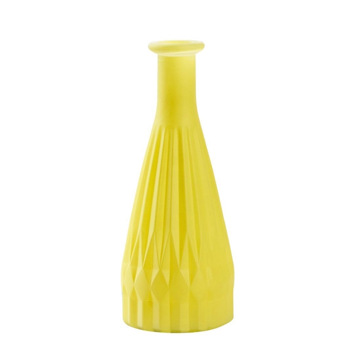 <h4>Glas Fles Patty d03/8*21cm</h4>