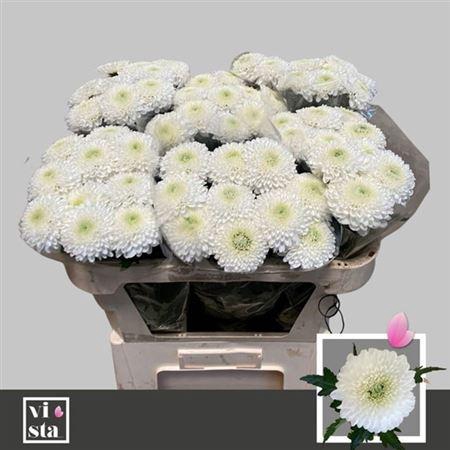 <h4>Chr G Superbowl</h4>