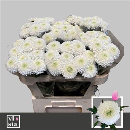 <h4>Chr G Superbowl</h4>