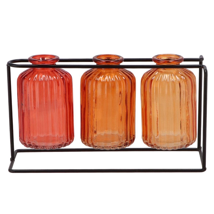 <h4>Karakum Coral Sunset Rack Black 22x8x12cm</h4>