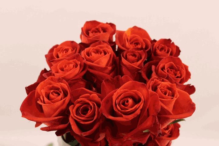 <h4>R Gr Cafe Del Mar</h4>