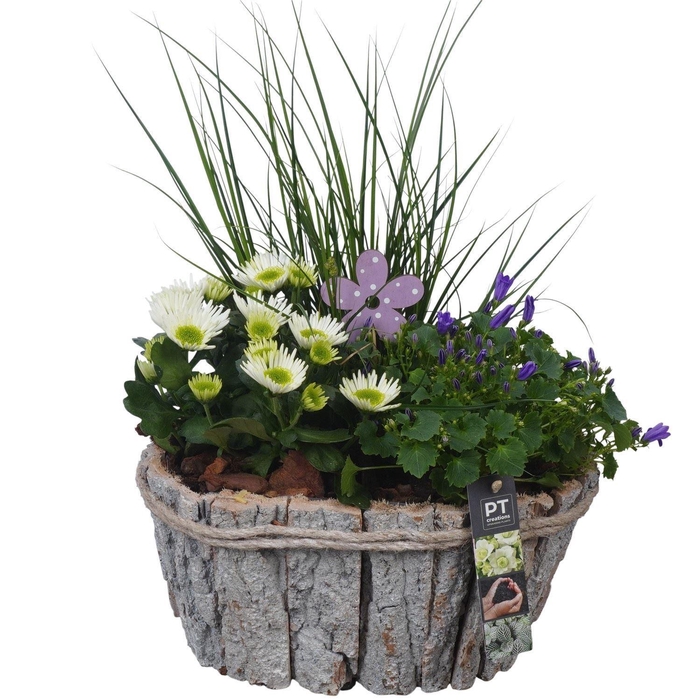 <h4>Arr. Tuinplanten H%</h4>
