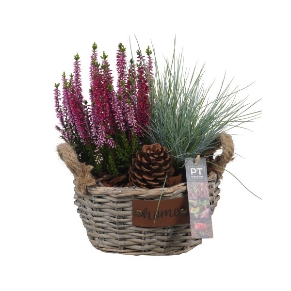 <h4>PTHO4138 Arrangement Herfst Outdoor in rieten mand ovaal</h4>