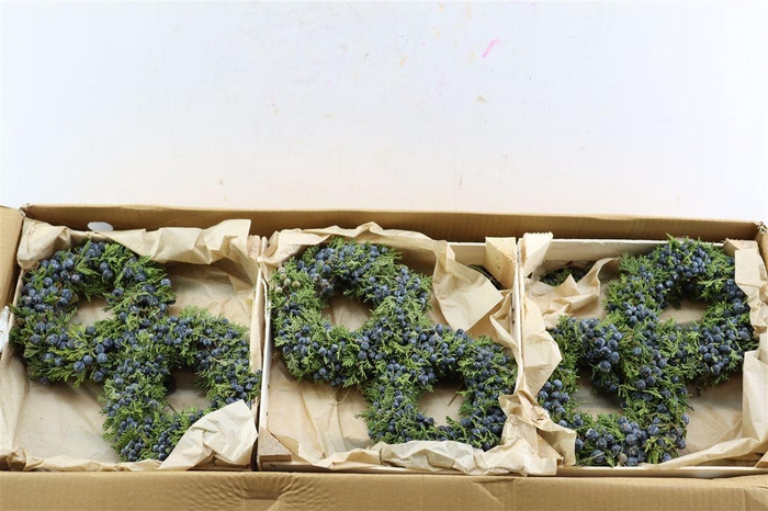 Wr Sierfruit Juniperus Red 20cm