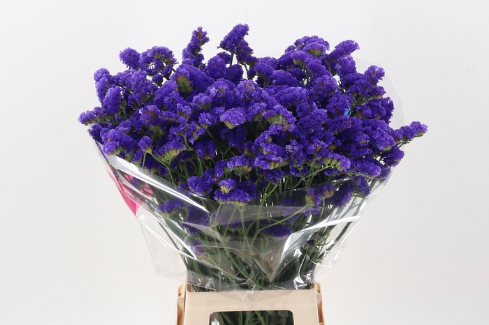 <h4>Lim S Cryst Dark Blu</h4>