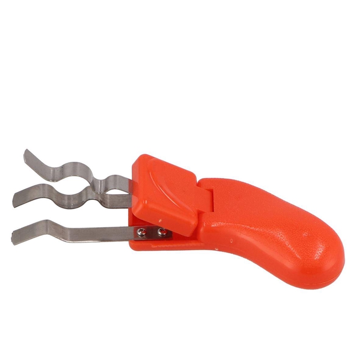 <h4>Floristry Roses Dethatcher Orange</h4>