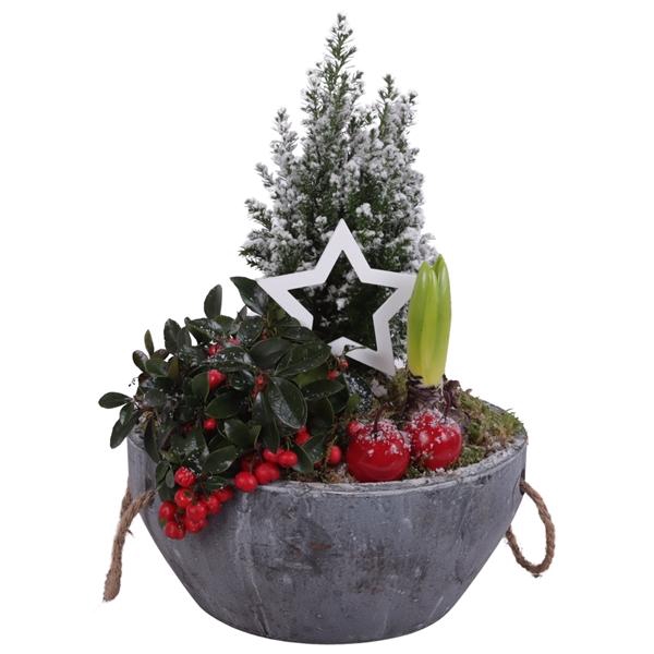 <h4>Winter Arr. Outdoor Ceramic Pot with Rope Handle Ø24cm 3PP</h4>