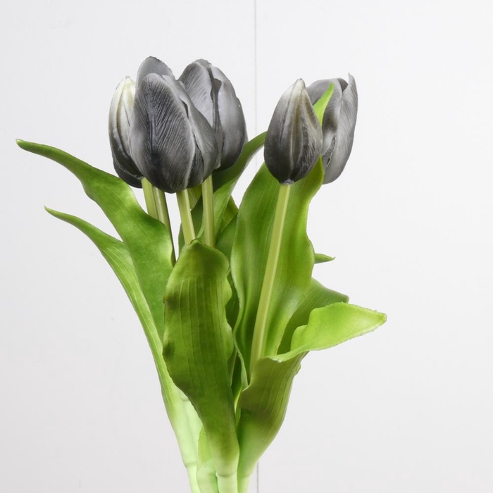 <h4>Af Tulip Bundle X7 L31cm Bl</h4>