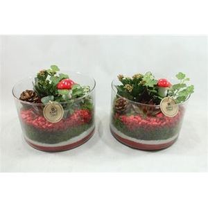 3580 XL CILINDER LAAG RD/WIT