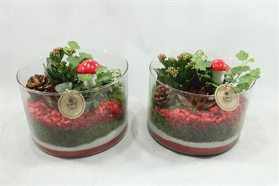 <h4>3580 XL CILINDER LAAG RD/WIT</h4>