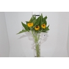 GIRASSOL 070 CM